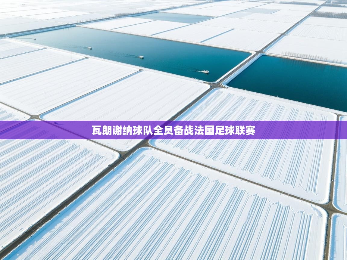 瓦朗谢纳球队全员备战法国足球联赛  第1张