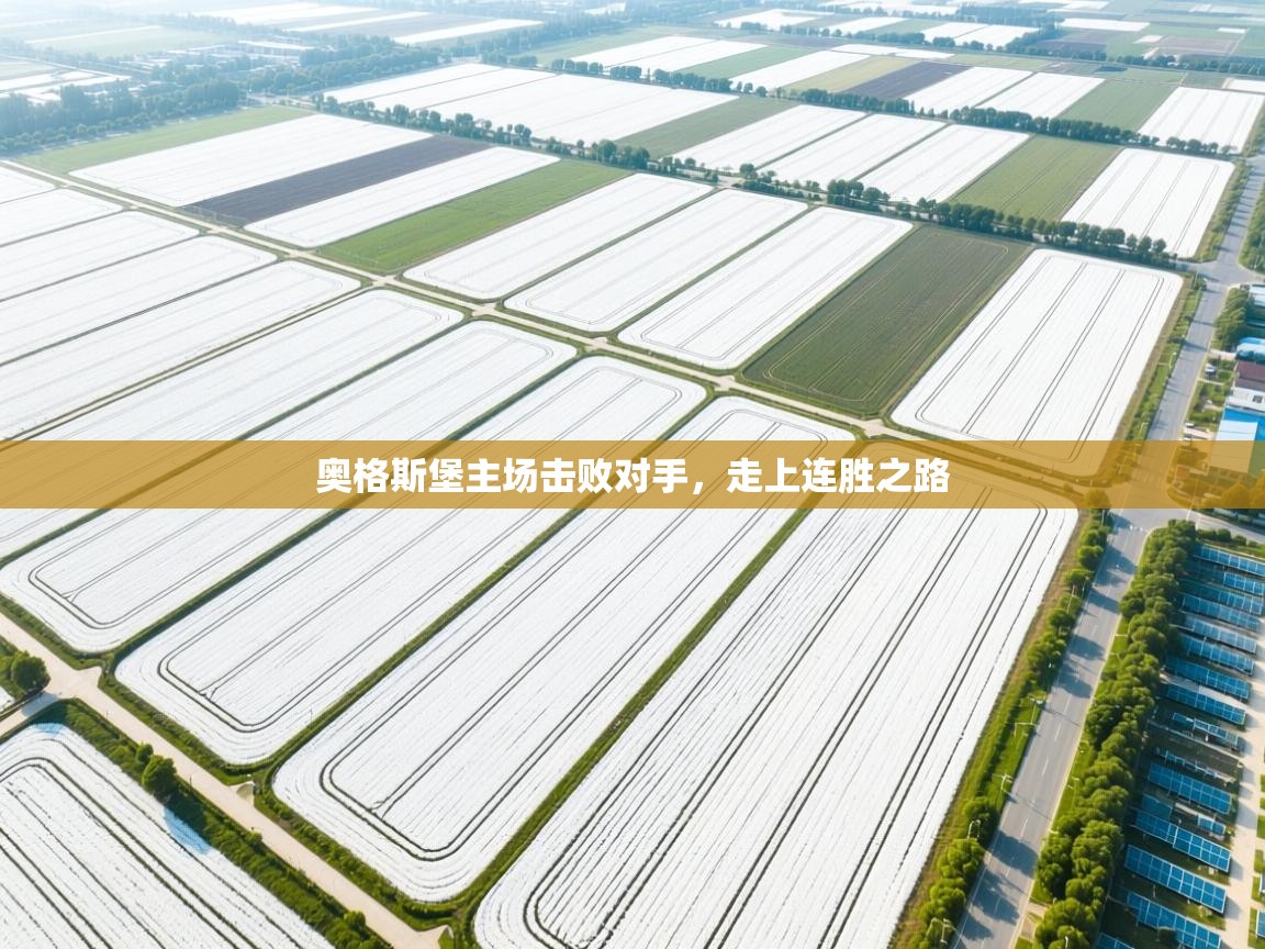 奥格斯堡主场击败对手，走上连胜之路  第2张