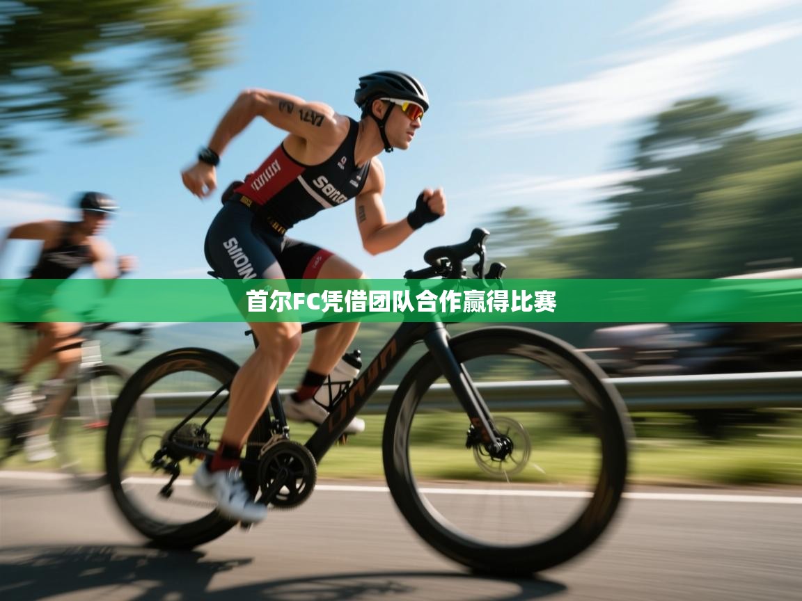 首尔FC凭借团队合作赢得比赛  第1张