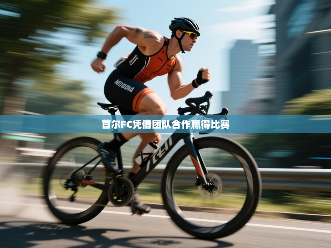 首尔FC凭借团队合作赢得比赛  第2张