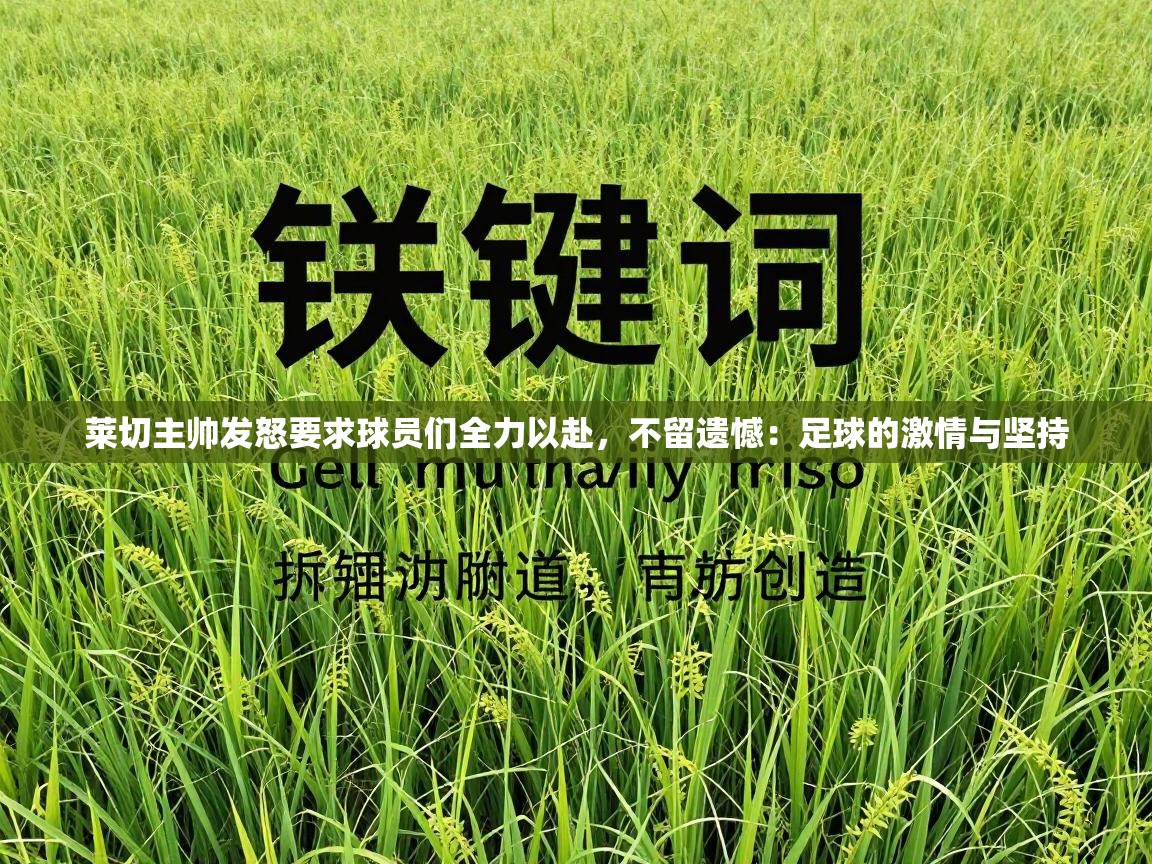 莱切主帅发怒要求球员们全力以赴,不留遗憾:足球的激情与坚持 第1张